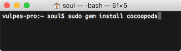 gem install cocoapods